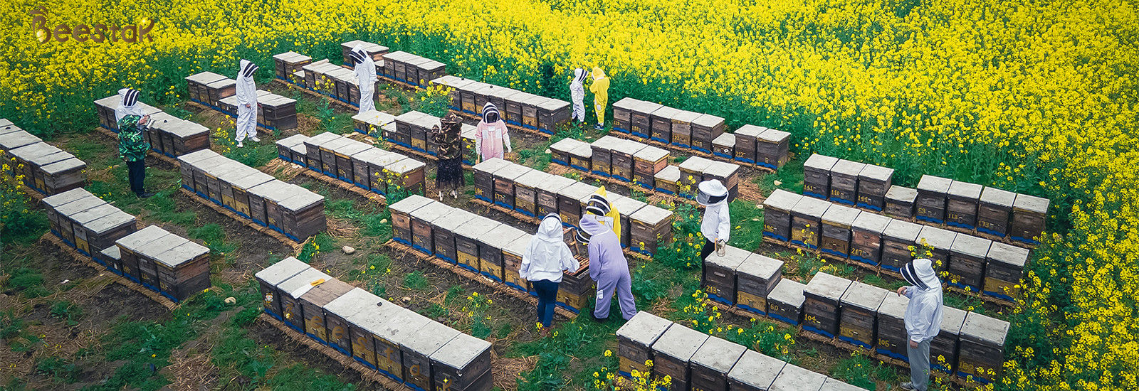 kwaliteit Natuurlijke Bijenhoning fabriek