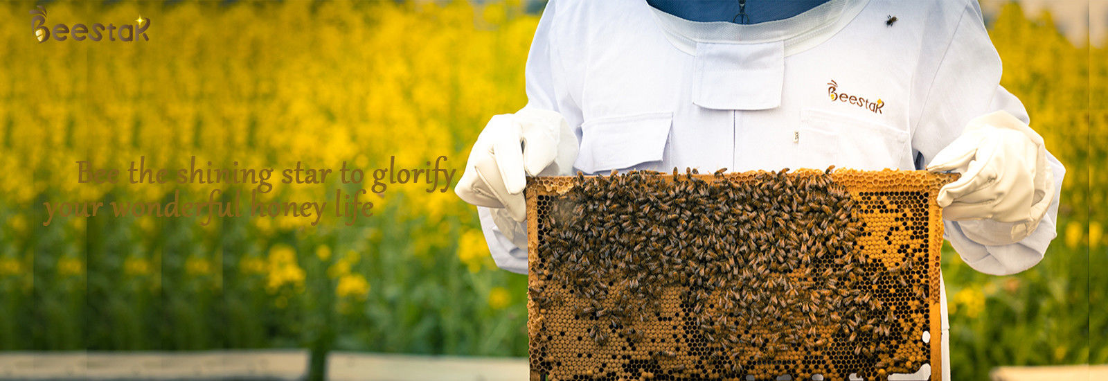 kwaliteit Zuivere Natuurlijke Bijenwas fabriek