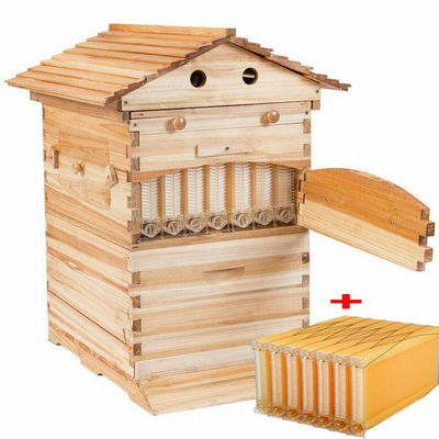 Niet-gemonteerde Langstroth-bijenkorf met 7 kunststof frames Automatische honingstroomkast