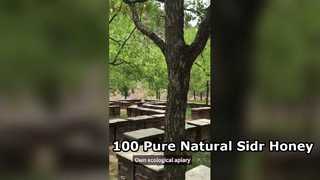Pure 100 procent natuurlijke Sidr-honinggroothandel