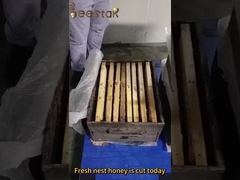 Grote korrelvormige pollen van verkrachting Honing Rauwe bijenpollen voor mensen en bijen