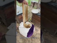 100% Puur Natuurlijke Biologische Honing Geen toevoegingen