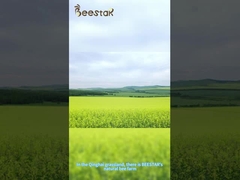 hoog 10-HDA Verse Gezonde Verzorging Koninginnengelei 1000mg Koningin Bijen Koninginnengelei voor gezondheidszorg