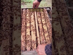 Biologische verse koninklijke gelei natuurlijke zuivere voedselkwaliteit