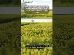 100% zuivere rauwe honing natuurlijke verkrachtingshoning natuurlijke bijenhoning zonder additieven gezondheidsvoedsel
