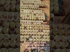 10-HDA Organische Verse Koninginnengelei Pure Koninginnengelei voor gezondheidszorg