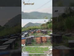 Natuurlijke Honing Rauwe Bijenpollen Granulair Pure Bijenpollen Bijenvoeding