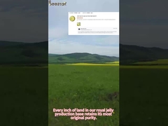 Beestar Organic Fresh Royal Jelly For Human Health, breed geprezen.