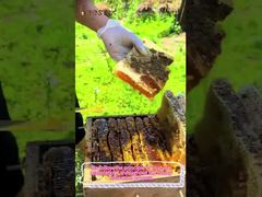 100% natuurlijke citrus honing zuivere rauwe honing gezond voedsel natuurlijke bijen honing in de groothandel