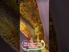 Met de hand gekarnde honing kan de voedingswaarde en de oorspronkelijke smaak van honing beter behouden blijven.