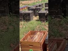 Bedankt de hardwerkende bijen voor het produceren van de puurste honing voor ons