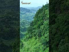 Neem je mee om onze bijenboerderij diep in de bergen te bezoeken en dicht bij de natuur te komen