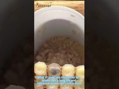 Weet je hoe koninklijke gelei wordt verzameld?