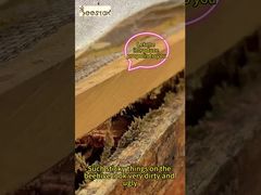 Propolis is geschikt voor dagelijkse gezondheidszorg en -conditionering. Het is een 