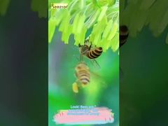 Kijk naar deze vloeiende textuur. Dit is werkelijk de 