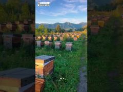 Het hele berglandschap is getransformeerd in een zoete en verfrissende smaak op de punt van de