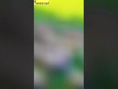 Introductie Pure Natural White Cream Honey Snow Cream Honey Voor Jou