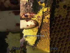 Net uit de bijenkorf gehaalde honing, een natuurlijke zoetstof uit de natuur