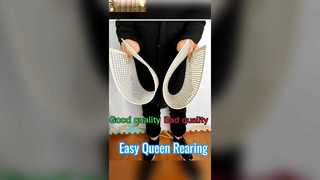 Geen Graft Queen Bee-opfoksysteem