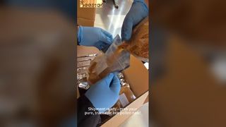 Premium bijenpollen: bemonstering, traceerbaarheid en luchtdichte versheid