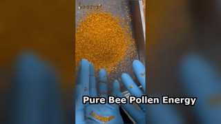 Pure bijenpollen natuurlijke energiebooster