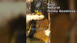 Waarom zwarte honing het ultieme superfood is voor je voorraadkast