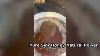 Pure Sidr Honing Natuurlijke energieboost