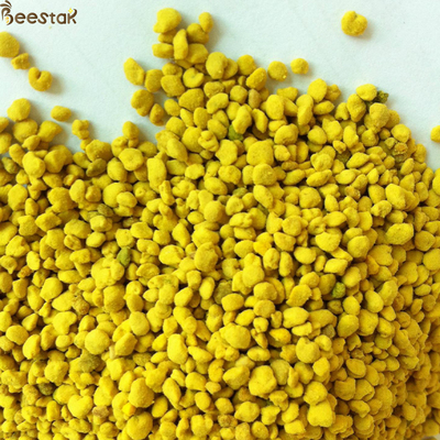 kopen Grote korrelvormige pollen van verkrachting Honing Rauwe bijenpollen voor mensen en bijen online vervaardiging