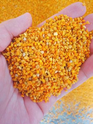 kopen Gemengde Verse Rauwe Bijenpollen Vol Met Voeding Grote Granual online vervaardiging