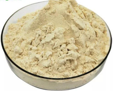 kopen Zuivere Organische Verse Koninklijke Jelly Lyophilized Powder 5,5% 10-HDA Honey Bee Products online vervaardiging