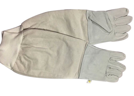 kopen De comfortabele Handschoenen van de Canvasimkerij met Lang Elastisch Manchet om het Uitglijden te verhinderen online vervaardiging