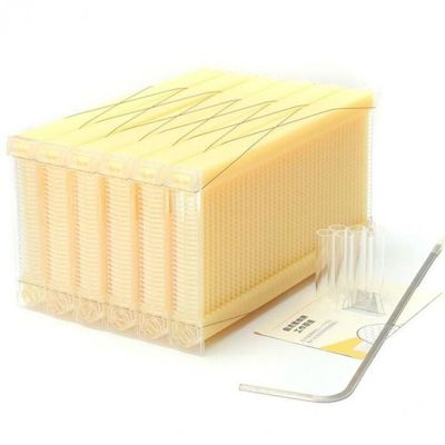 kopen Plastic Honey Flow Frame van zelfstroomende honingbijenkorf online vervaardiging