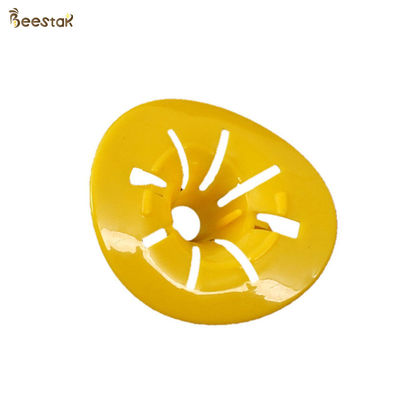 kopen Plastic Simple Hornet Killer Honey Bee Catcher Bijenkorf Accessoires Insecten Wespenval online vervaardiging