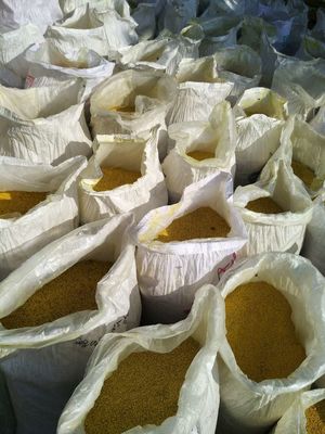 Puur natuurlijk bijenpollen een must-have voor ieder milieubewust individu