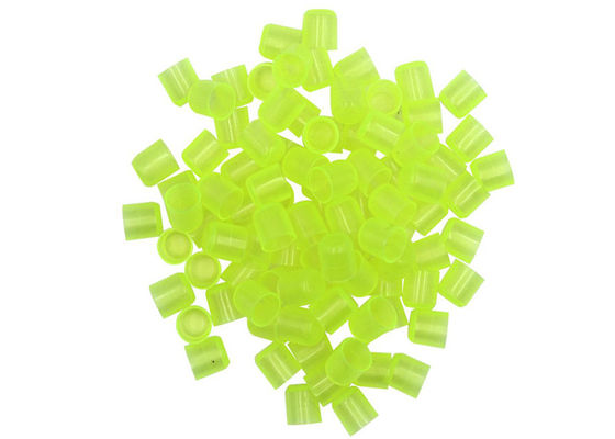 Kop van de Koninginrearing System Bijenkoningin Cel van imkerijhulpmiddelen de Plastic Groene