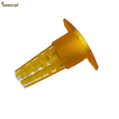 In het groot Gele plastic van het de kooifokken van de imkerijkoningin de Bijenkoninginkooi voor imkerij